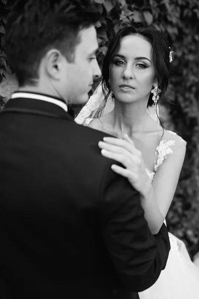 Olhe Cima Belo Casamento Casal Beijando Jardim Noite — Fotografia de Stock