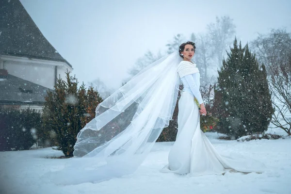 Portrait Beautiful Bride Winter Park — Stock Photo, Image