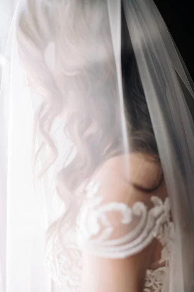 微笑的新娘看起来在面纱后面 — 图库照片