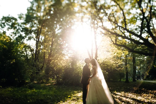 Krásné Nevěsty Ženicha Jejich Svatební Den — Stock fotografie