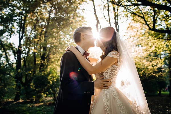 Bela Noiva Noivo Seu Dia Casamento — Fotografia de Stock