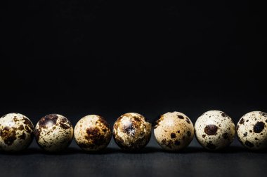 Bıldırcın yumurtası koyu arka plan üzerinde