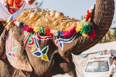 Caparison ayakta Ernakulam Kerala, Hindistan geleneksel tören için tapınak Festivali geçit için Hint erkek fil altın kaplama.