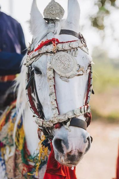 Cabeza Caballo Indio Colorido Decorado Jaisalmer Rajastha —  Fotos de Stock