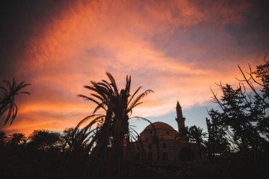 Gündoğumu günbatımı üzerinde palmiye ağaçları silüeti