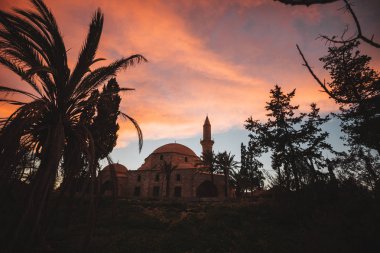 Gündoğumu günbatımı üzerinde palmiye ağaçları silüeti