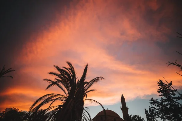 Silueta Palmeras Amanecer Atardecer —  Fotos de Stock