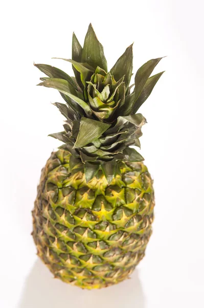 Verse Ananas Witte Achtergrond — Stockfoto