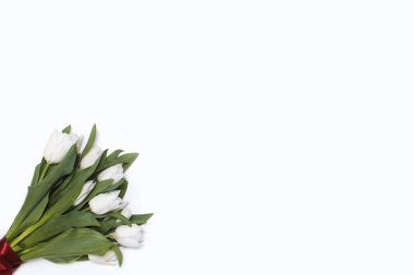 Beyaz arkaplanda bir buket beyaz lale