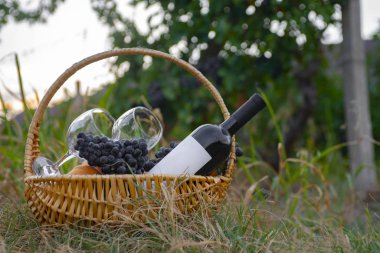 Kırmızı şarap ve yeşil çimenlikte meyveli piknik sepeti .