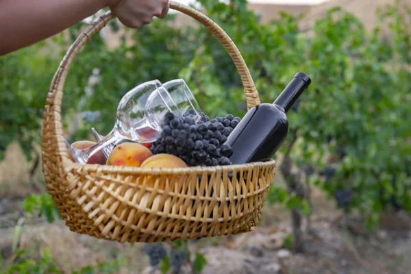 Ragazza Porta Cestino Picnic Con Vino Rosso Frutta — Foto Stock