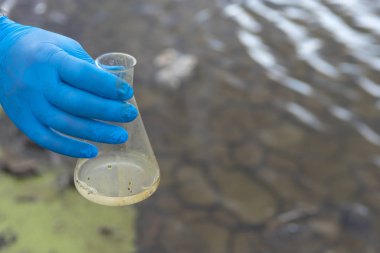 Analiz için nehirden örnek su. Bir test tüpü tutan eldiven. Ekoloji konsepti.