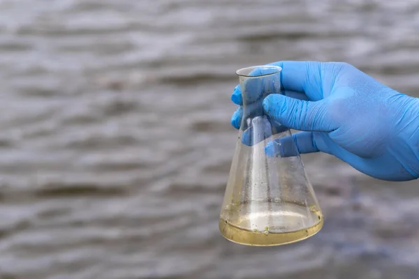 A water sample from the river. Hand in glove collects water in a test tube. ecology concept