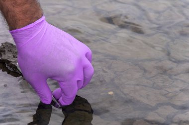 Nehirden bir su örneği. Eldiven takıp test tüpünde su topluyor. ekoloji kavramı