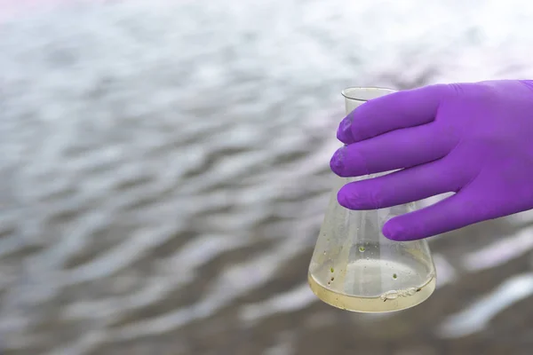 A water sample from the river. Hand in glove collects water in a test tube. ecology concept