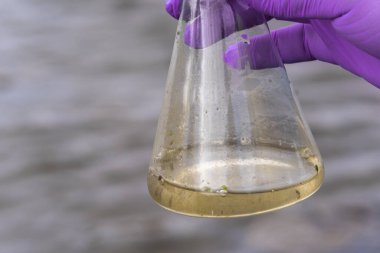 Analiz için nehirden örnek su. Bir test tüpü tutan eldiven. Ekoloji konsepti.