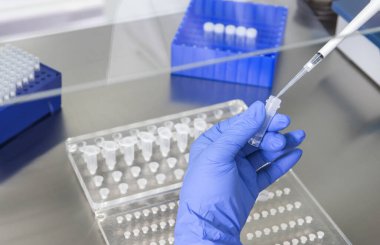 Bir laboratuvar teknisyeninin ellerinde bir tüp kan örneği ve diğer numunelerle dolu bir raf var. Üzerinde çalışmak için kan tüpü örneği tutan laboratuvar teknisyeni. Corona virüsü salgını konsepti. Coronavirus aşısı gelişimi.