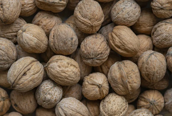 Nueces Con Conchas Fondo Nueces Frescas — Foto de Stock