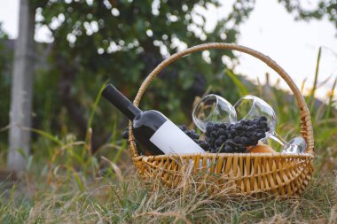 Kırmızı şarap ve yeşil çimenlikte meyveli piknik sepeti .