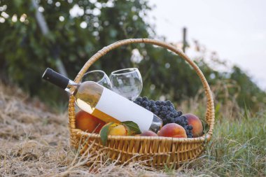 Yeşil çimenlikte beyaz şarap ve meyveli piknik sepeti .