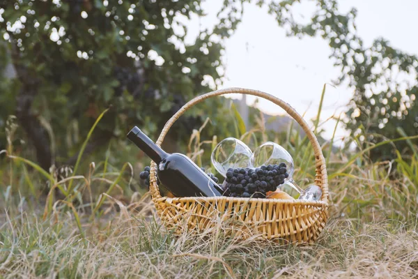 Cesto Picnic Con Vino Rosso Frutta Sul Prato Verde — Foto Stock