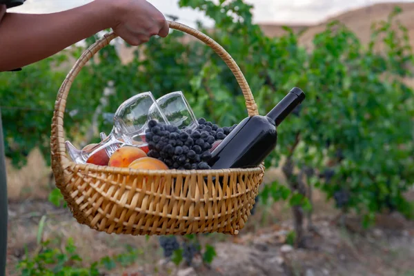 Ragazza Porta Cestino Picnic Con Vino Rosso Frutta — Foto Stock