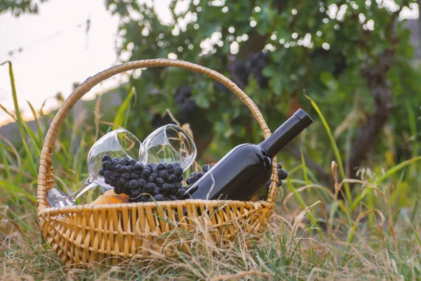 Panier Pique Nique Avec Vin Rouge Fruits Sur Pelouse Verte — Photo