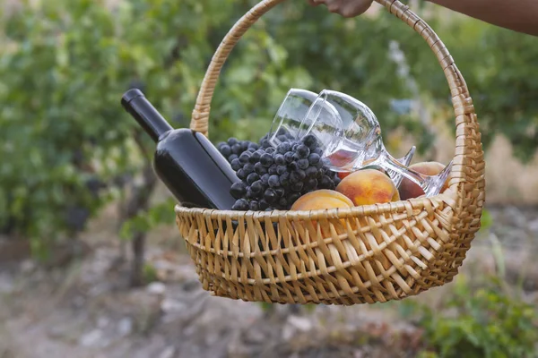 Ragazza Porta Cestino Picnic Con Vino Rosso Frutta — Foto Stock