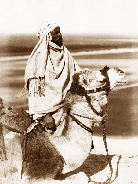 Vintage Foto: Arabo cavalcando un cammello, Egitto 1880 — Foto Stock