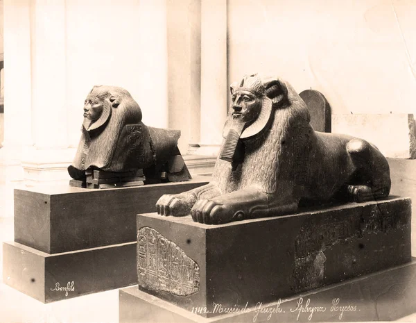 Archiwalne zdjęcie: 2 Sphinx kamienne rzeźby w Muzeum w Kairze, Egipt 1880 — Zdjęcie stockowe