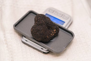 ağırlık ölçekte siyah truffle