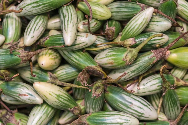 Fondo vegetal, textura — Foto de Stock