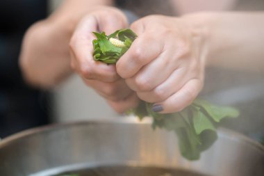 Kadın sebze kabın içine koyar. Sağlıklı gıda p anlayışı