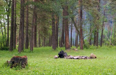 Güdük ve orman glade şömine