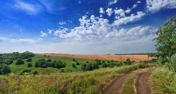 Сельская грязная дорога — стоковое фото