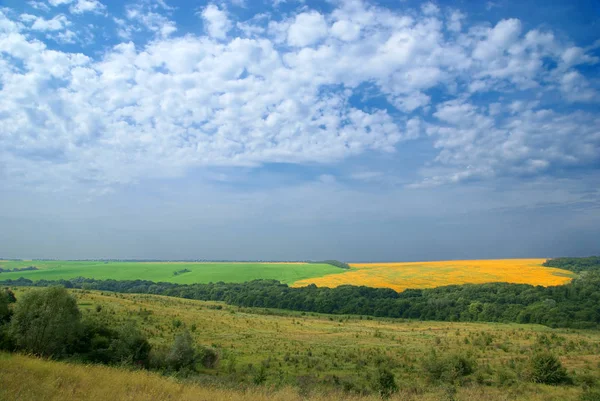 Желто-зеленое поле. Подножия Кубани . — стоковое фото