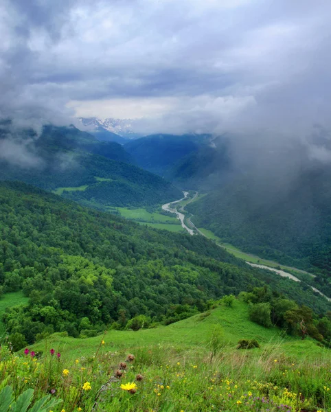 Valle verde con un camino serpenteante y un río . — Foto de Stock