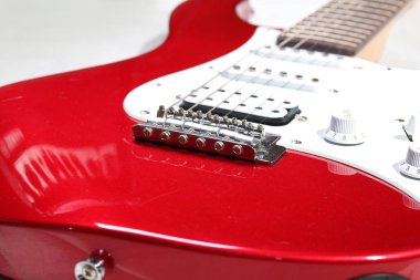 Elektro gitar ayrıntı closeup - transfer ve ayar vidaları