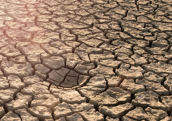 Changing of the climate. Background of dry cracked soil.