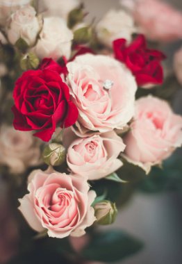 Weding grup güller arasında