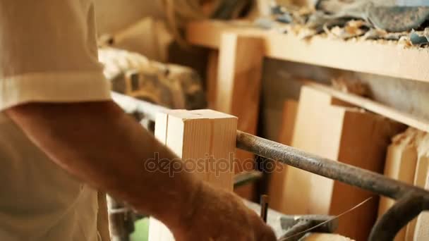 Beruf, Menschen, Schreinerei, Holzverarbeitung und Personalkonzept - Schreiner in der Werkstatt — Stockvideo