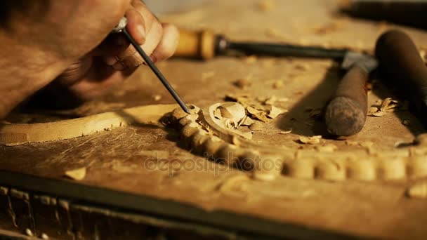 Wood carving master works - närbild video skjutning — Stockvideo