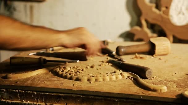 Wood carving master works - närbild video skjutning — Stockvideo