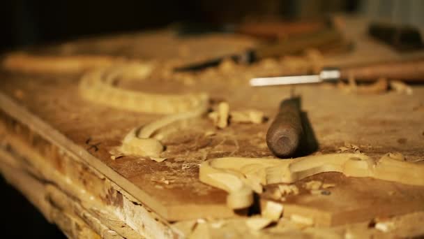 Œuvres maîtresses de sculpture sur bois - prise de vue vidéo en gros plan — Video