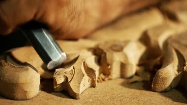 Œuvres maîtresses de sculpture sur bois - prise de vue vidéo en gros plan — Video