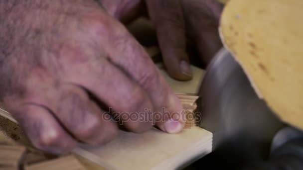 Trabajos de carpintería: carpintero que trabaja con tablón plano y madera en el taller — Vídeos de Stock