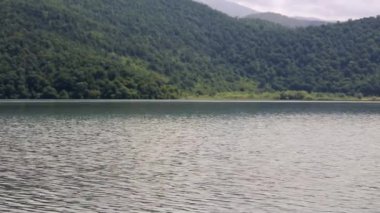 Göl ve orman