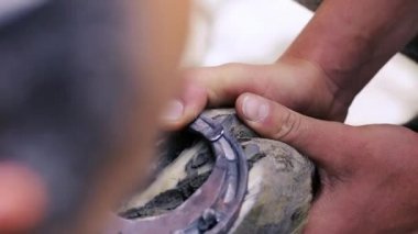 kırpma, temizlik, şekillendirme ve aşırı tek doku at nalı hooves demirci dükkanında bıçak kullanarak kapalı kesme. At horseshoeing at nalı maker. Azerbaycan