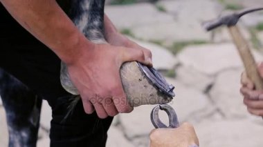 kırpma, temizlik, şekillendirme ve aşırı tek doku at nalı hooves demirci dükkanında bıçak kullanarak kapalı kesme. At horseshoeing at nalı maker. Azerbaycan