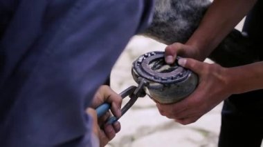 kırpma, temizlik, şekillendirme ve aşırı tek doku at nalı hooves demirci dükkanında bıçak kullanarak kapalı kesme. At horseshoeing at nalı maker. Azerbaycan